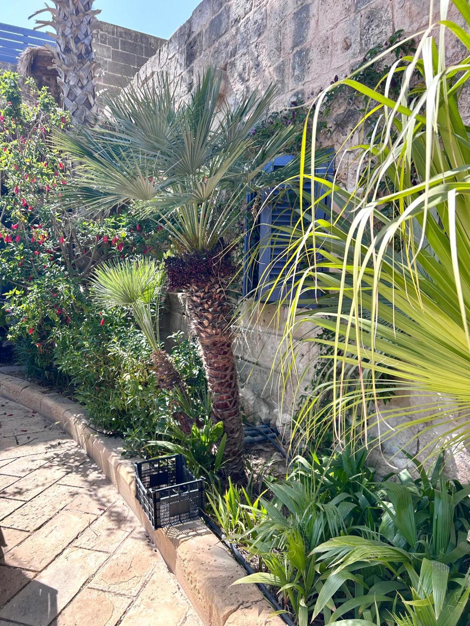 Ta Skorba Farmhouse Mgarr L-Imgarr Buitenkant foto